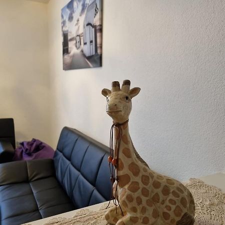 Monteurwohnung App 5 Pirmasens Kültér fotó